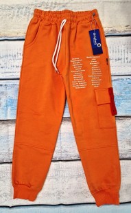 спортивные брюки (подростковые) ― Детская одежда оптом в Новосибирске - компания BabySmail