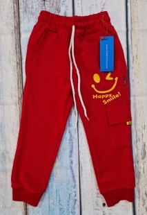 спортивные брюки(5-9лет) ― Детская одежда оптом в Новосибирске - компания BabySmail